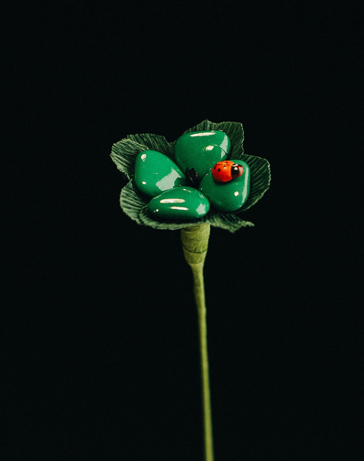 Fiori-di-Confetto-01