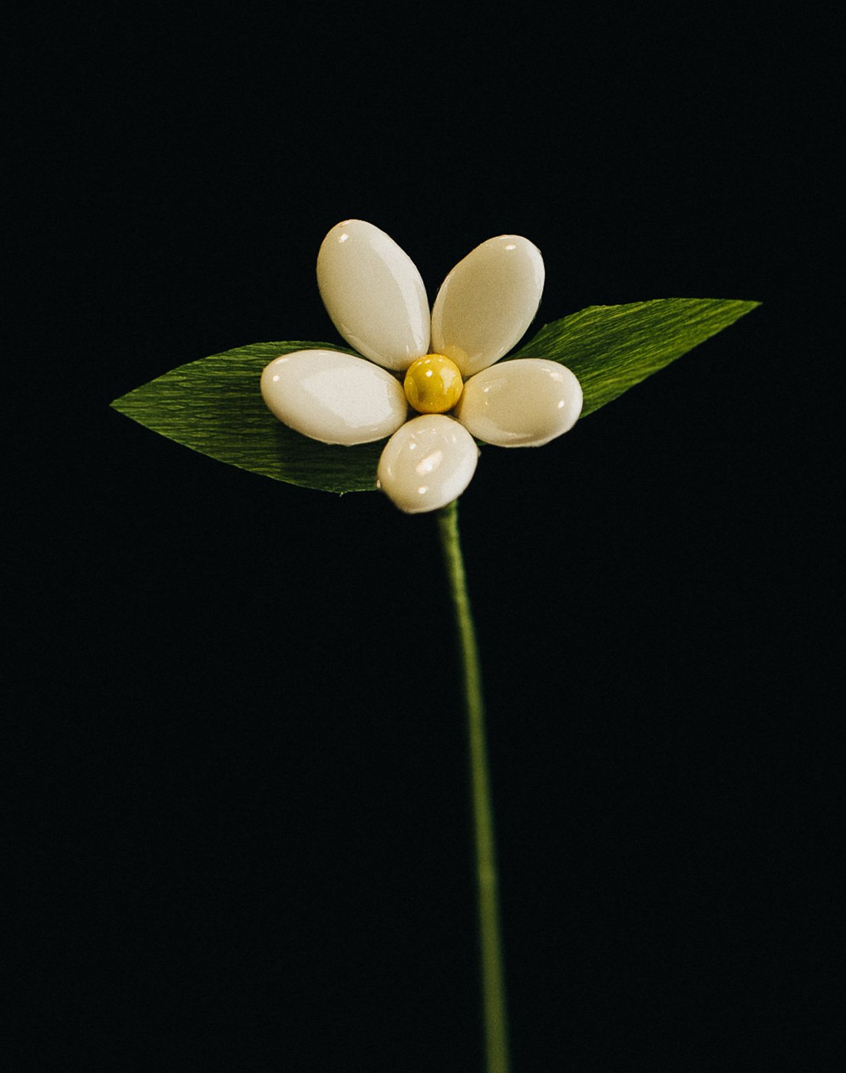 Fiori-di-Confetto-02