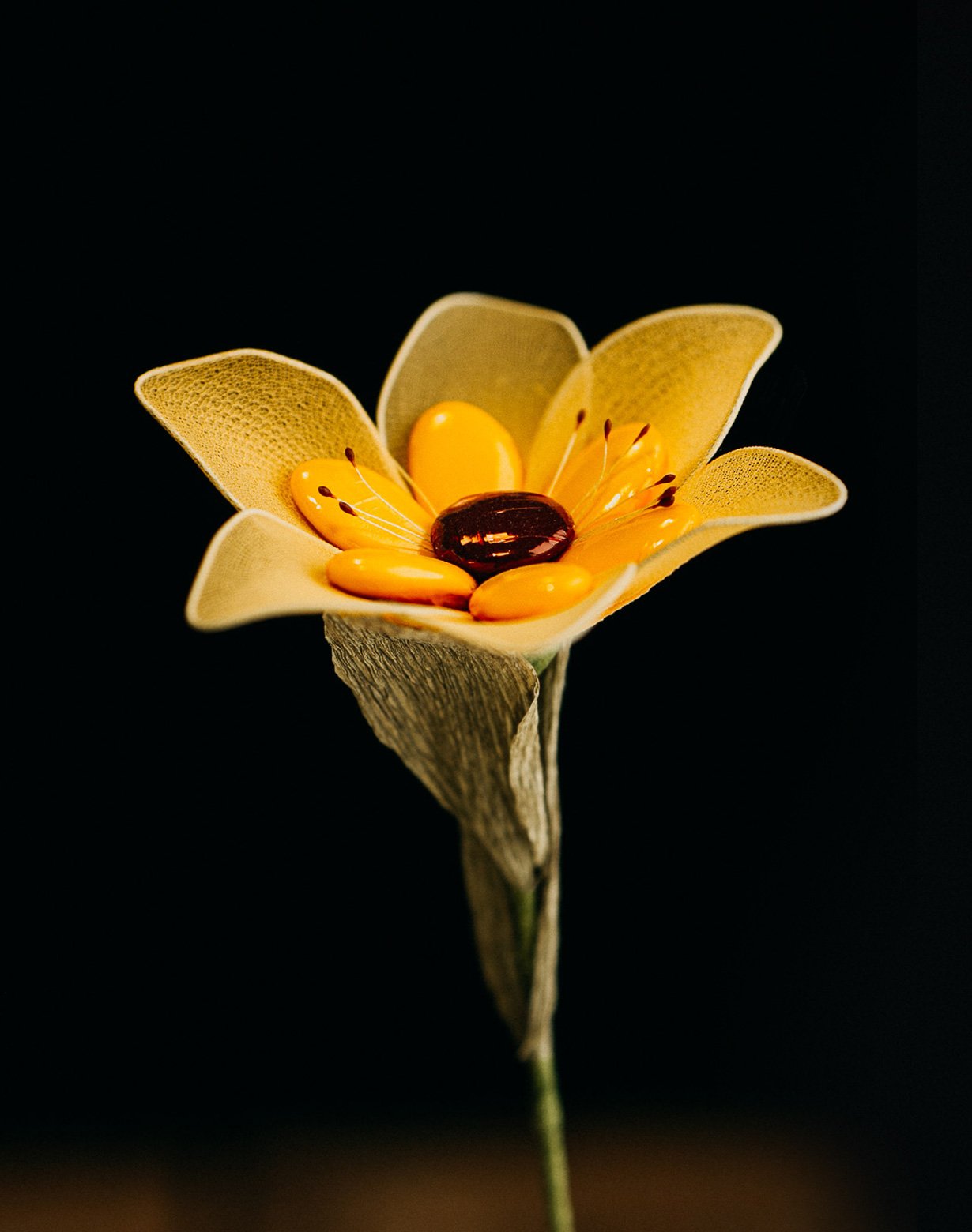 Fiori-di-Confetto-05