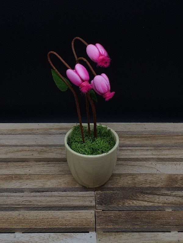 Idee Creative - Confezione Regalo R1